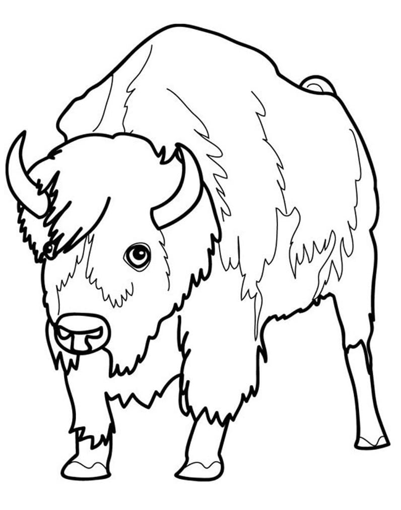 Free printable Bison (Buffalo) coloring page #205541 from Animals collection
