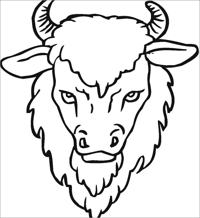 Free printable Bison (Buffalo) coloring page #205547 from Animals collection