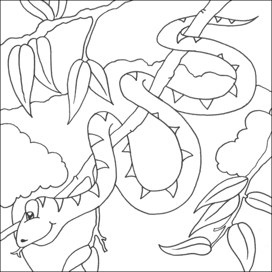 Coloring page: Boa (Animals) #1322 - Free Printable Coloring Pages
