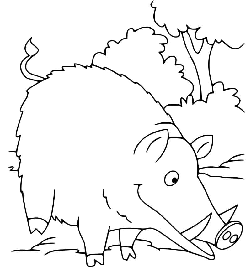 Free printable Boar coloring page #205355 from Animals collection Free printable Boar coloring page #205355 from Animals collection