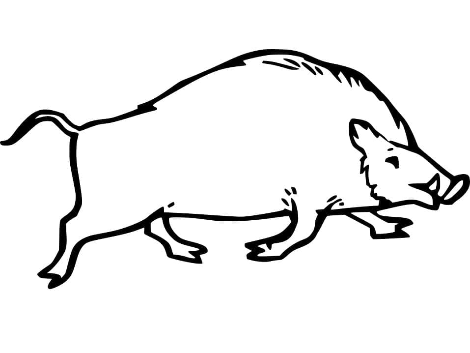 Free printable Boar coloring page #205362 from Animals collection Free printable Boar coloring page #205362 from Animals collection