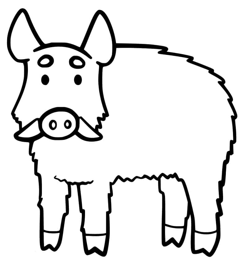Free printable Boar coloring page #205371 from Animals collection Free printable Boar coloring page #205371 from Animals collection