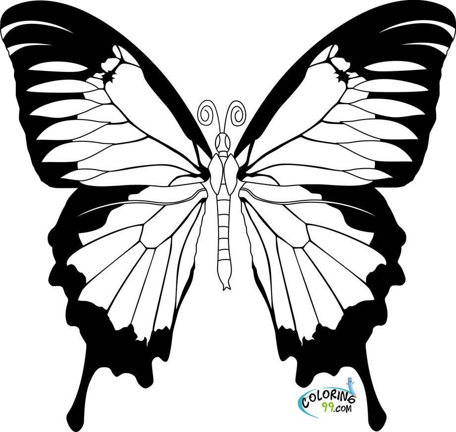 Coloring page: Butterfly (Animals) #15664 - Free Printable Coloring Pages