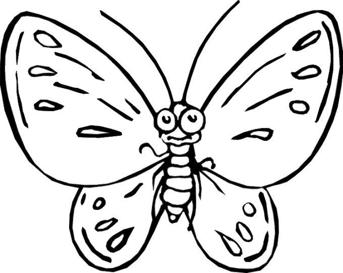 Coloring page: Butterfly (Animals) #15666 - Free Printable Coloring Pages