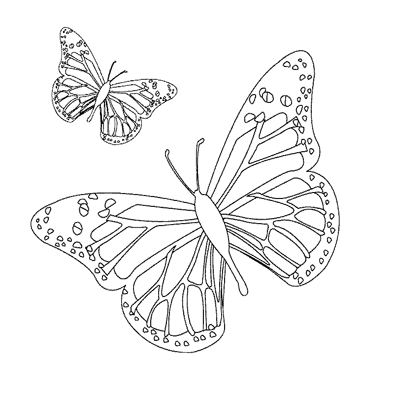 Coloring page: Butterfly (Animals) #15672 - Printable coloring pages
