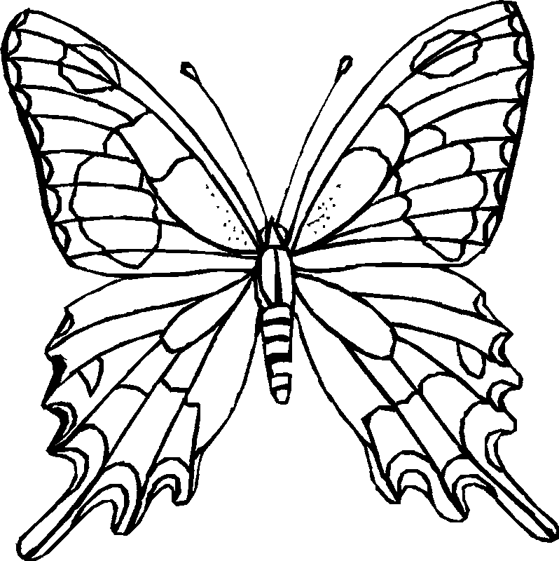 Coloring page: Butterfly (Animals) #15676 - Free Printable Coloring Pages