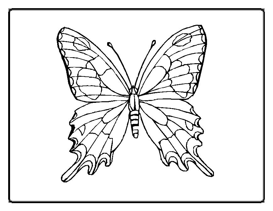 Coloring page: Butterfly (Animals) #15678 - Free Printable Coloring Pages