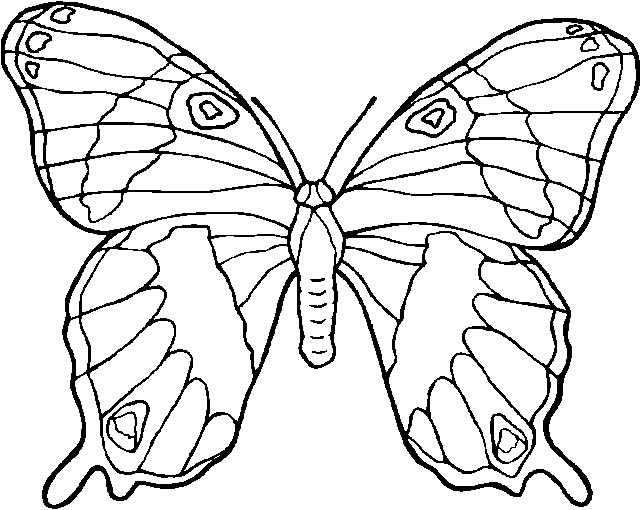 Coloring page: Butterfly (Animals) #15697 - Free Printable Coloring Pages
