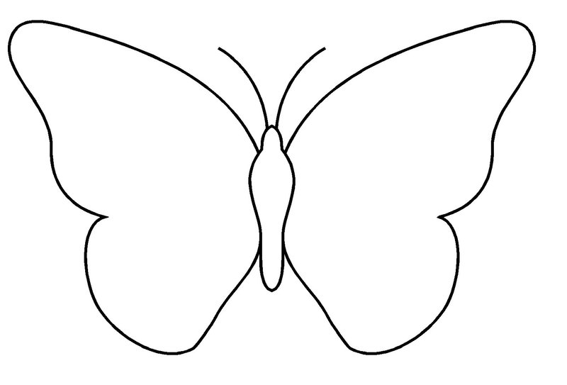 Coloring page: Butterfly (Animals) #15701 - Free Printable Coloring Pages