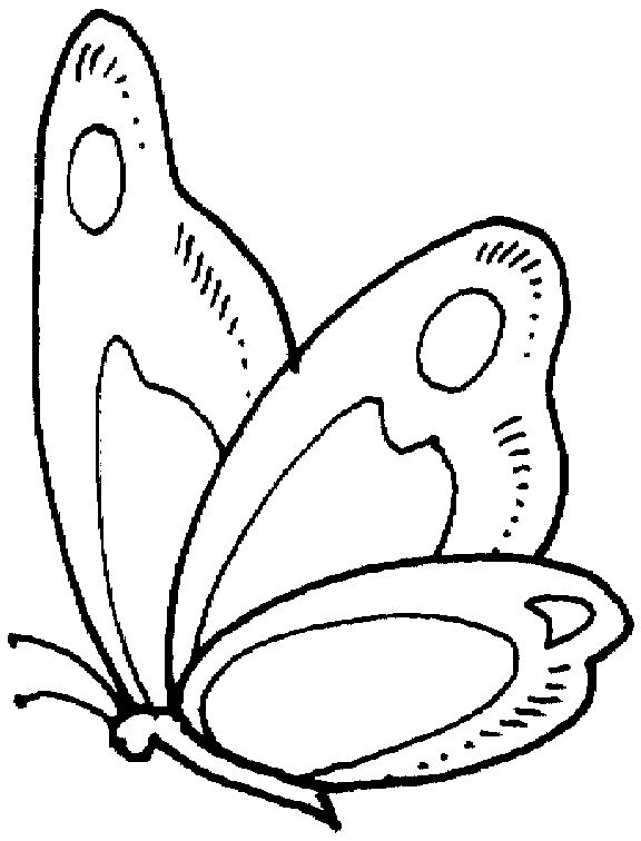 Coloring page: Butterfly (Animals) #15719 - Free Printable Coloring Pages