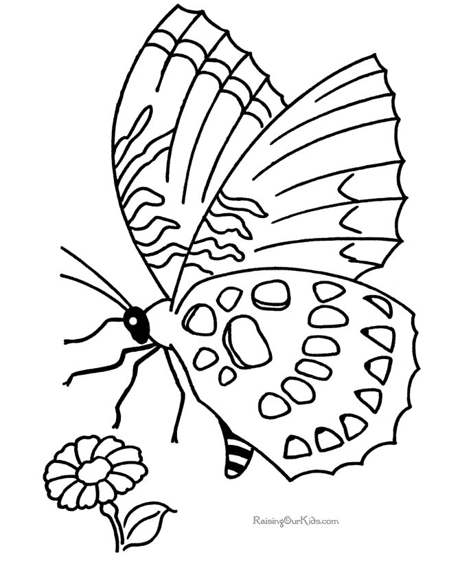 Coloring page: Butterfly (Animals) #15720 - Free Printable Coloring Pages