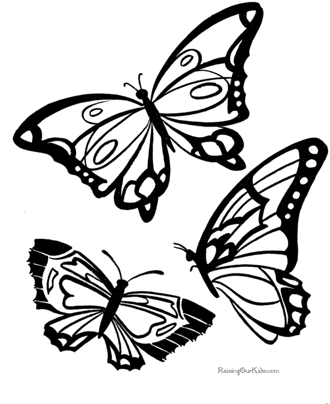 Coloring page: Butterfly (Animals) #15730 - Printable coloring pages