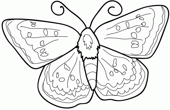 Coloring page: Butterfly (Animals) #15740 - Free Printable Coloring Pages