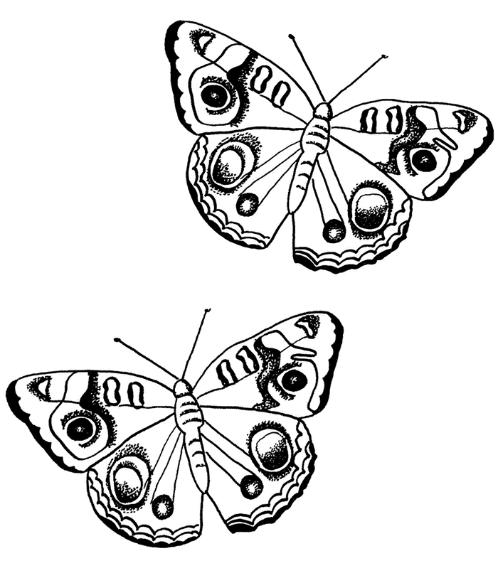Coloring page: Butterfly (Animals) #15764 - Free Printable Coloring Pages