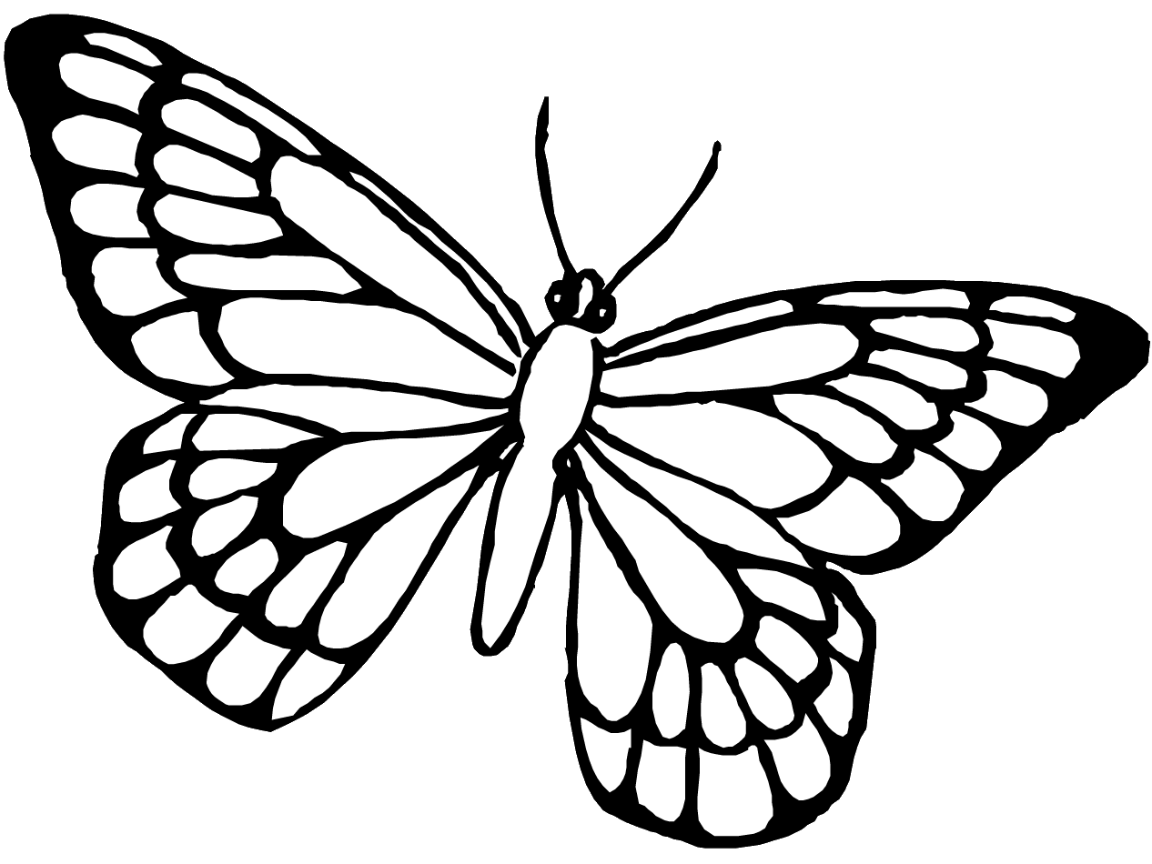 Butterfly (Animals) - Page 3 - Printable coloring pages