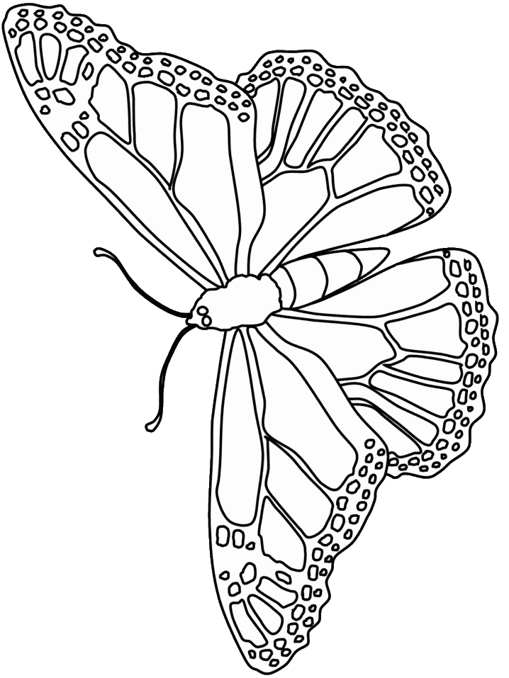 Coloring page: Butterfly (Animals) #15773 - Free Printable Coloring Pages