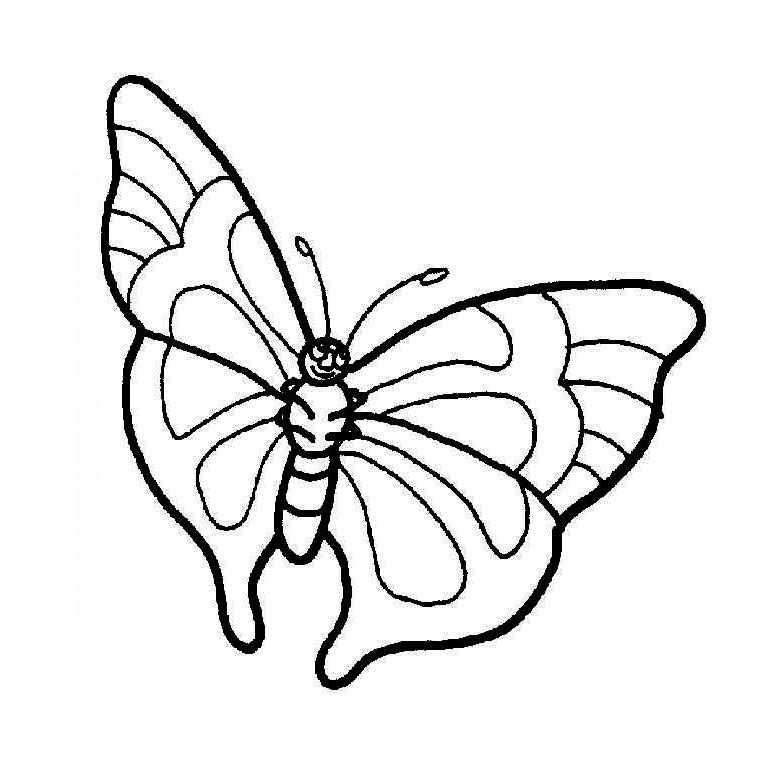 Coloring page: Butterfly (Animals) #15777 - Printable coloring pages