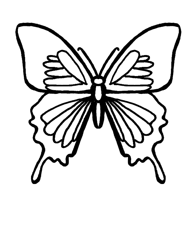 Coloring page: Butterfly (Animals) #15779 - Free Printable Coloring Pages