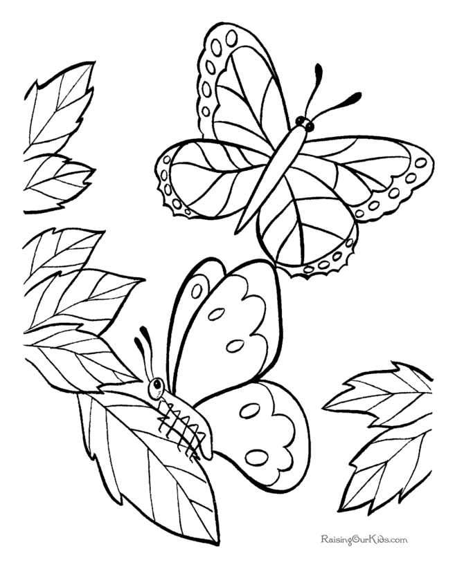 Coloring page: Butterfly (Animals) #15792 - Free Printable Coloring Pages