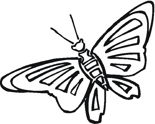 Coloring page: Butterfly (Animals) #15813 - Free Printable Coloring Pages