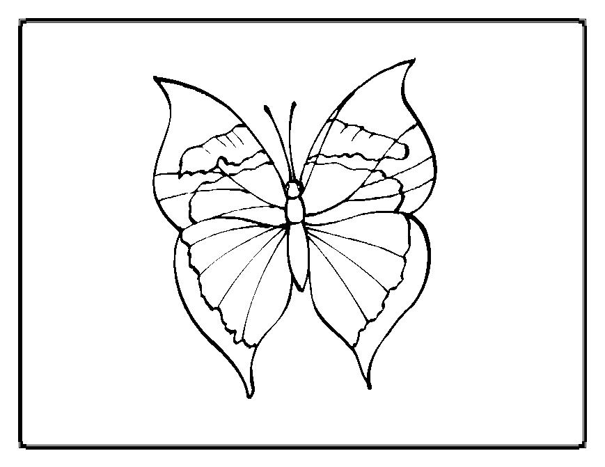 Coloring page: Butterfly (Animals) #15822 - Free Printable Coloring Pages