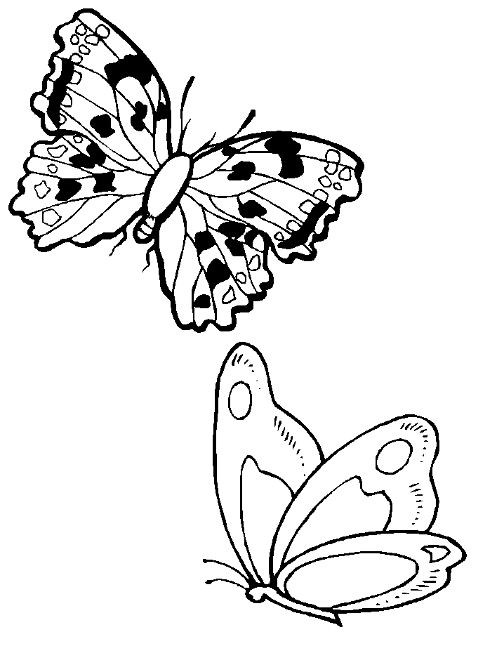 Coloring page: Butterfly (Animals) #15828 - Free Printable Coloring Pages