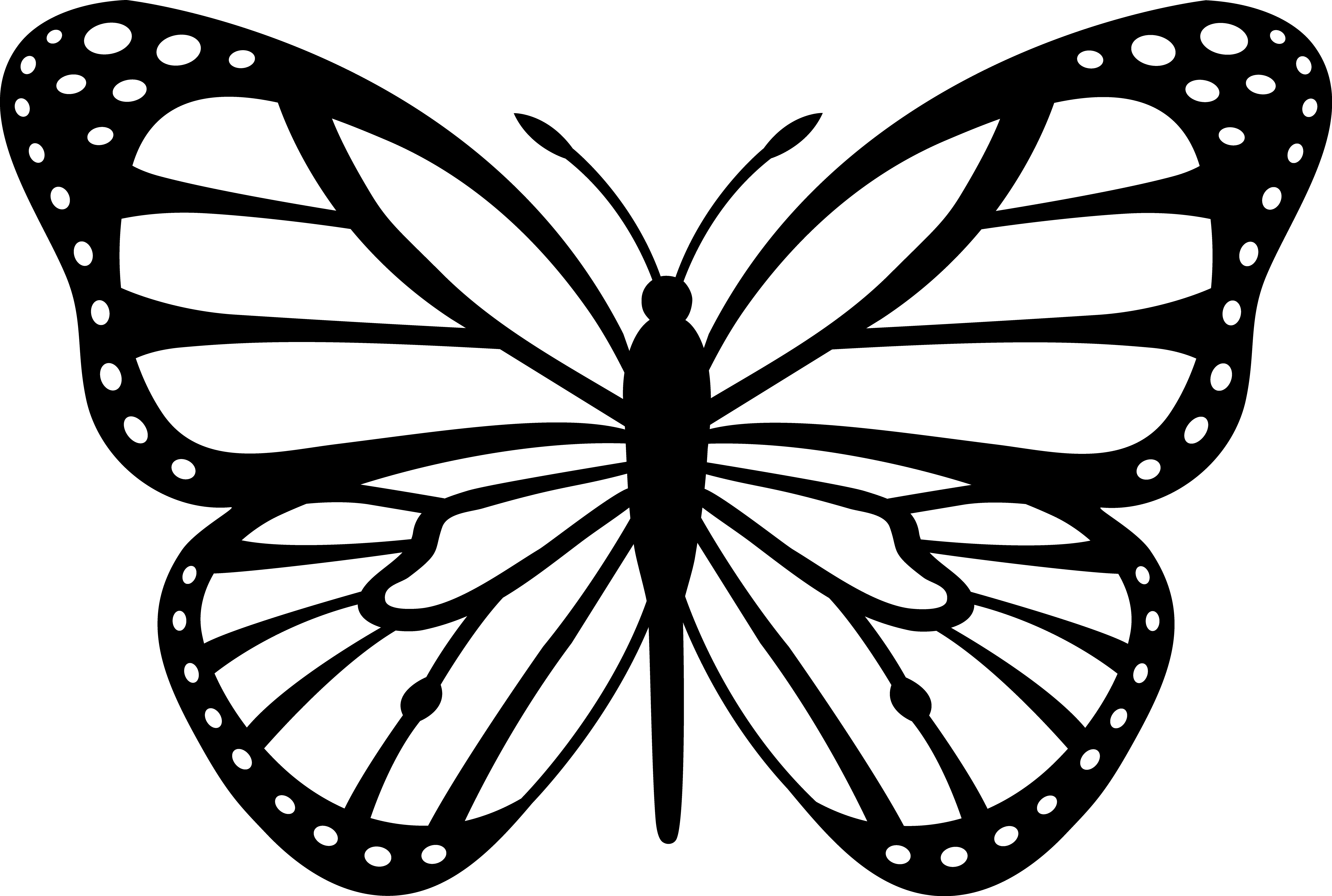Coloring page: Butterfly (Animals) #15834 - Printable coloring pages