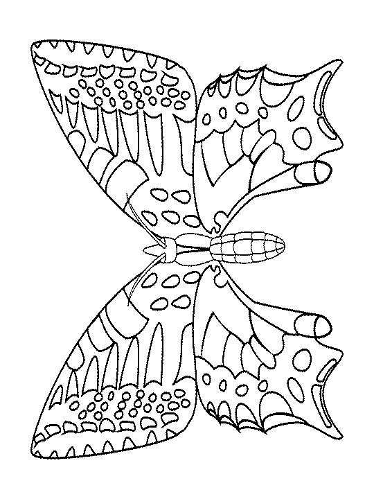 Coloring page: Butterfly (Animals) #15844 - Free Printable Coloring Pages