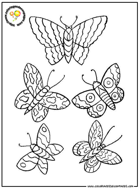 Coloring page: Butterfly (Animals) #15845 - Free Printable Coloring Pages