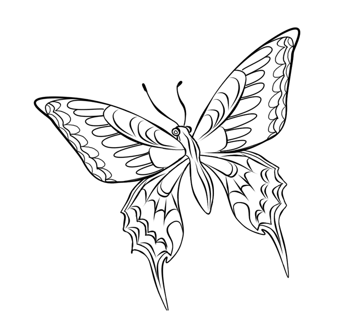 Coloring page: Butterfly (Animals) #15846 - Free Printable Coloring Pages