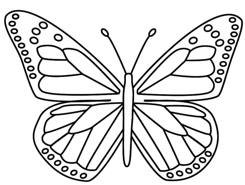 Free printable Butterfly coloring page #175118 from Animals collection