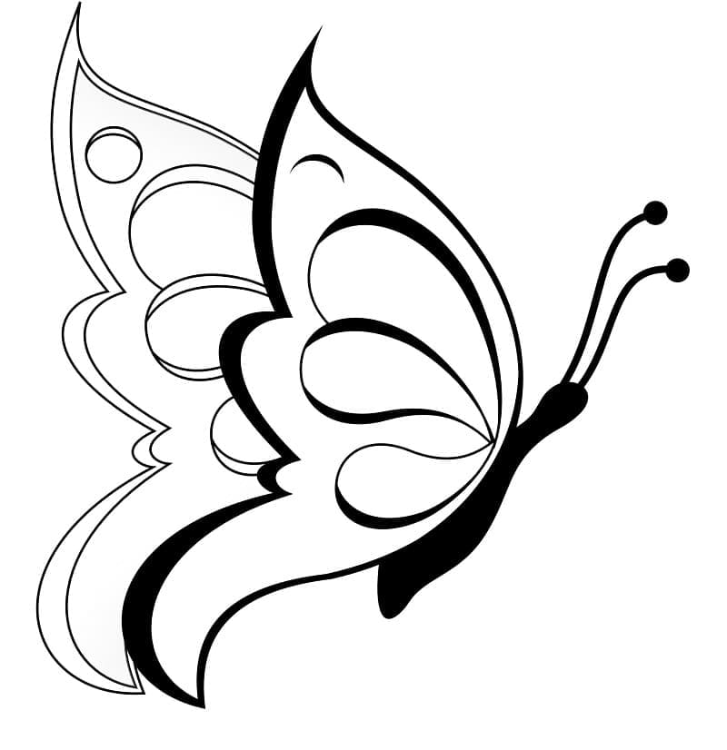 Free printable Butterfly coloring page #175123 from Animals collection