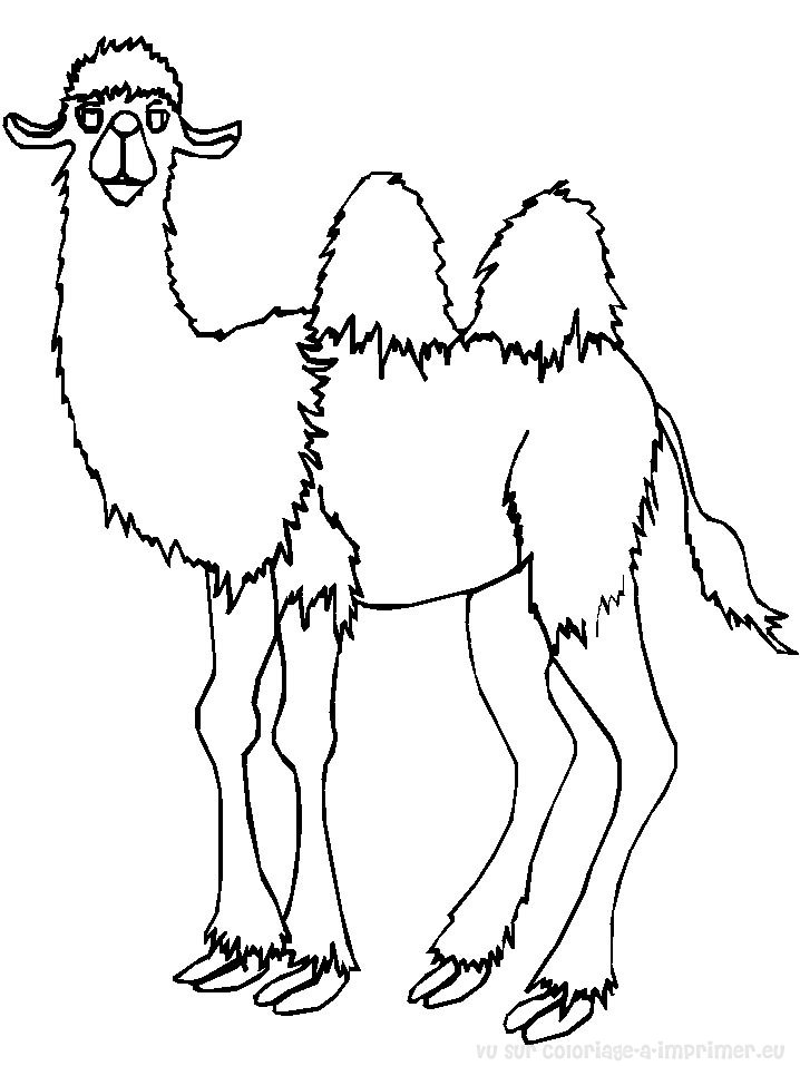 Coloring page: Camel (Animals) #1667 - Free Printable Coloring Pages