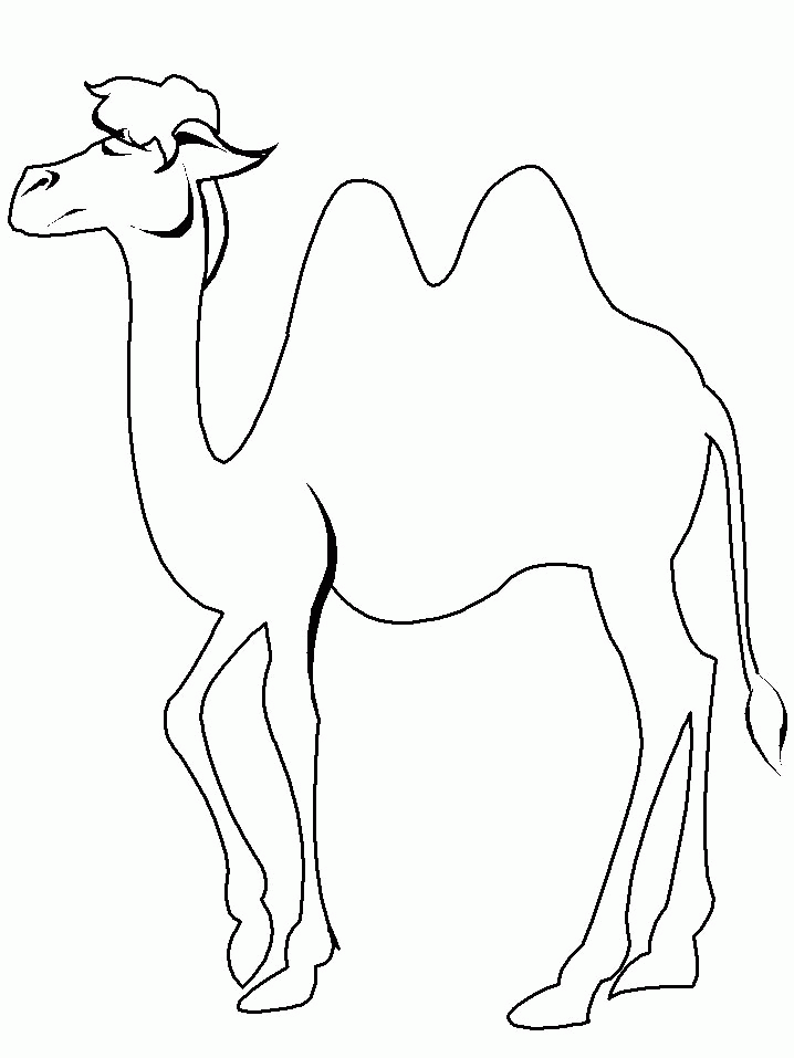 Coloring page: Camel (Animals) #1674 - Free Printable Coloring Pages