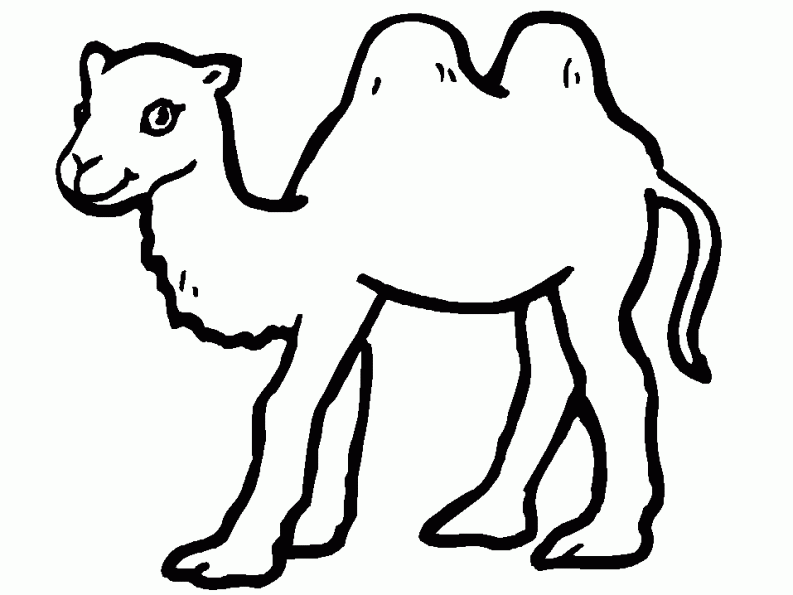 Coloring page: Camel (Animals) #1681 - Free Printable Coloring Pages
