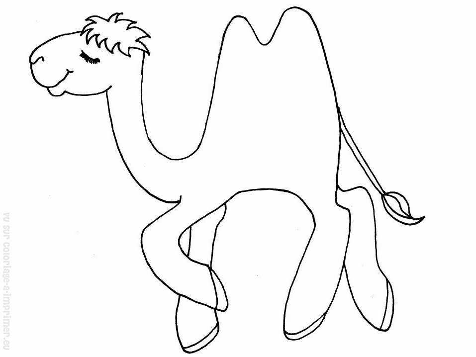 Coloring page: Camel (Animals) #1688 - Free Printable Coloring Pages