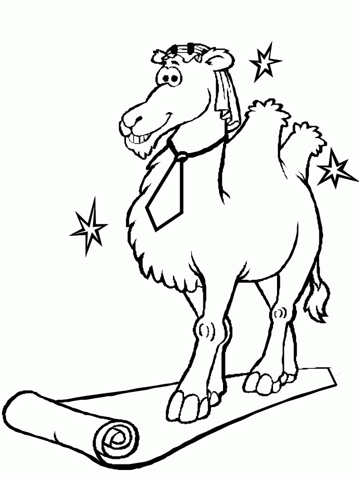 Coloring page: Camel (Animals) #1695 - Printable coloring pages