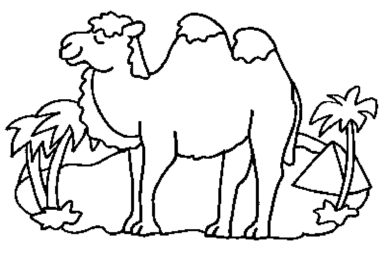 Coloring page: Camel (Animals) #1697 - Free Printable Coloring Pages