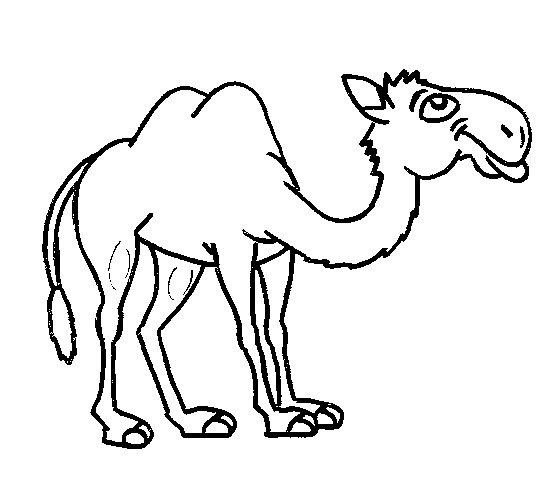 Coloring page: Camel (Animals) #1719 - Printable coloring pages