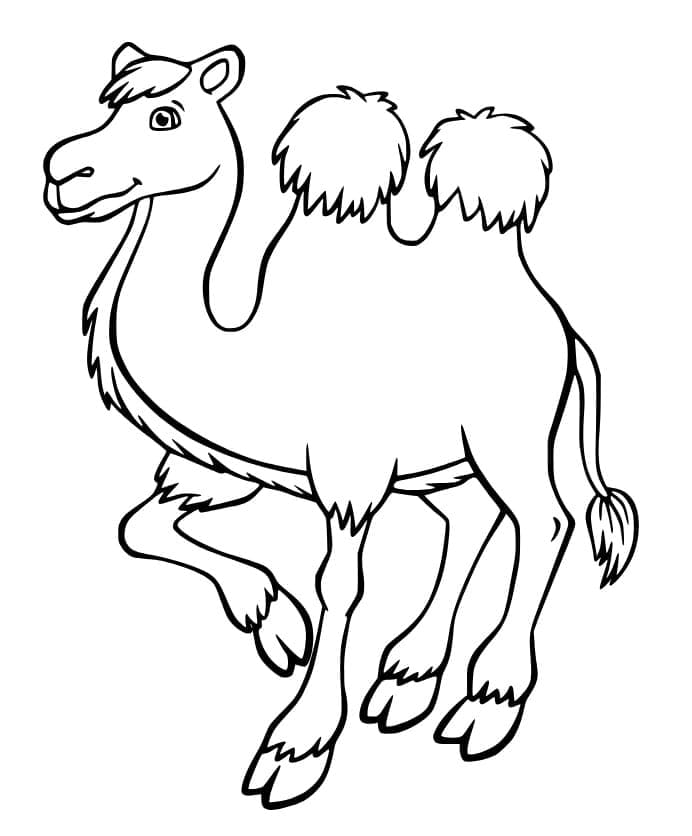 Free printable Camel coloring page #205462 from Animals collection