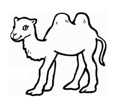 Free printable Camel coloring page #205466 from Animals collection