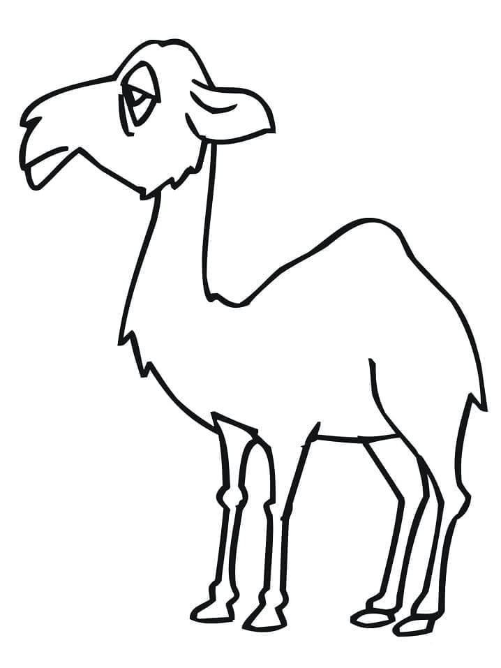 Free printable Camel coloring page #205467 from Animals collection