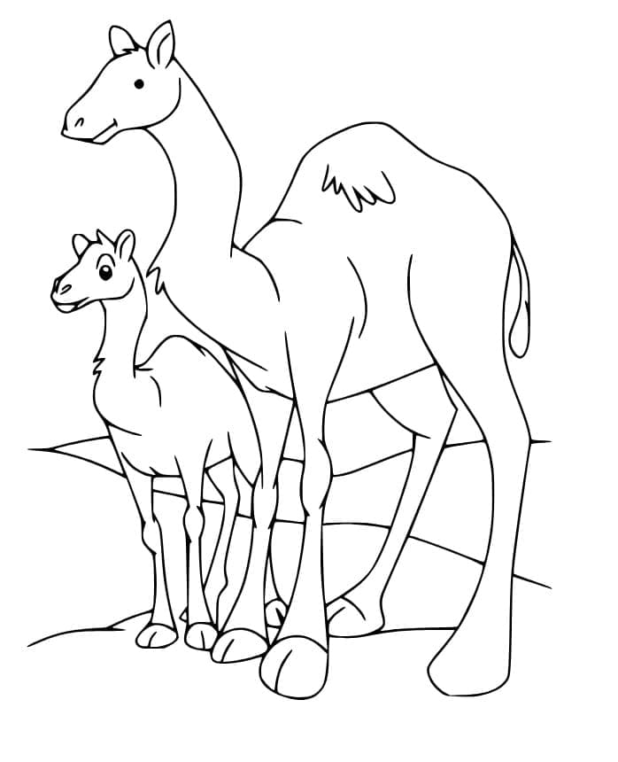 Free printable Camel coloring page #205475 from Animals collection