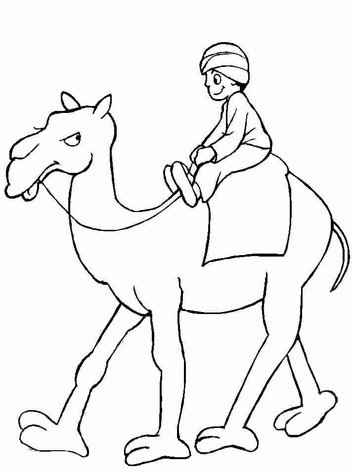 Free printable Camel coloring page #205476 from Animals collection