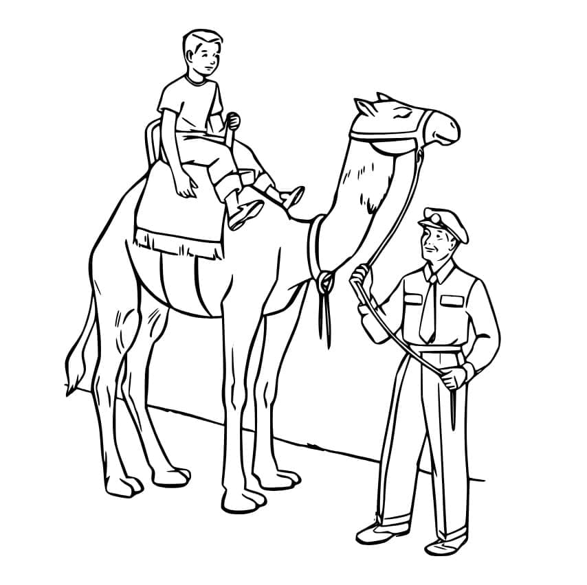 Free printable Camel coloring page #205488 from Animals collection