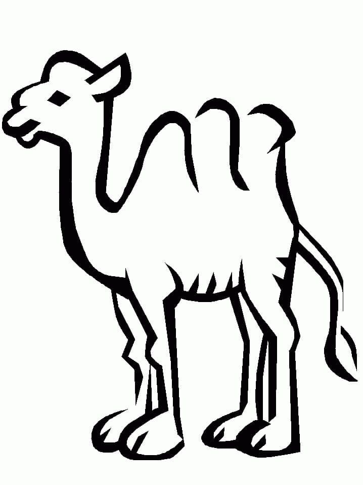 Free printable Camel coloring page #205492 from Animals collection
