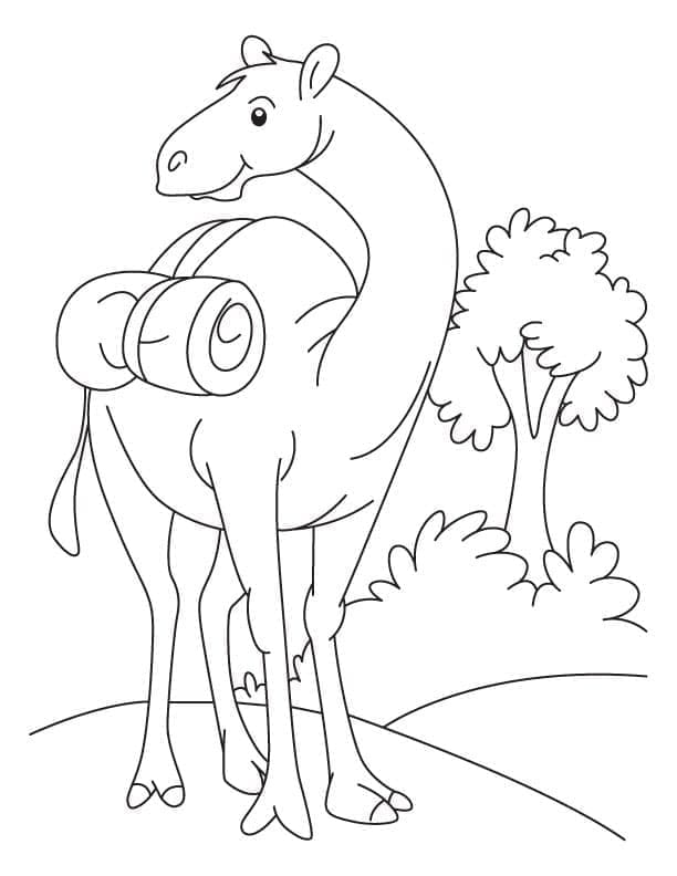 Free printable Camel coloring page #205500 from Animals collection