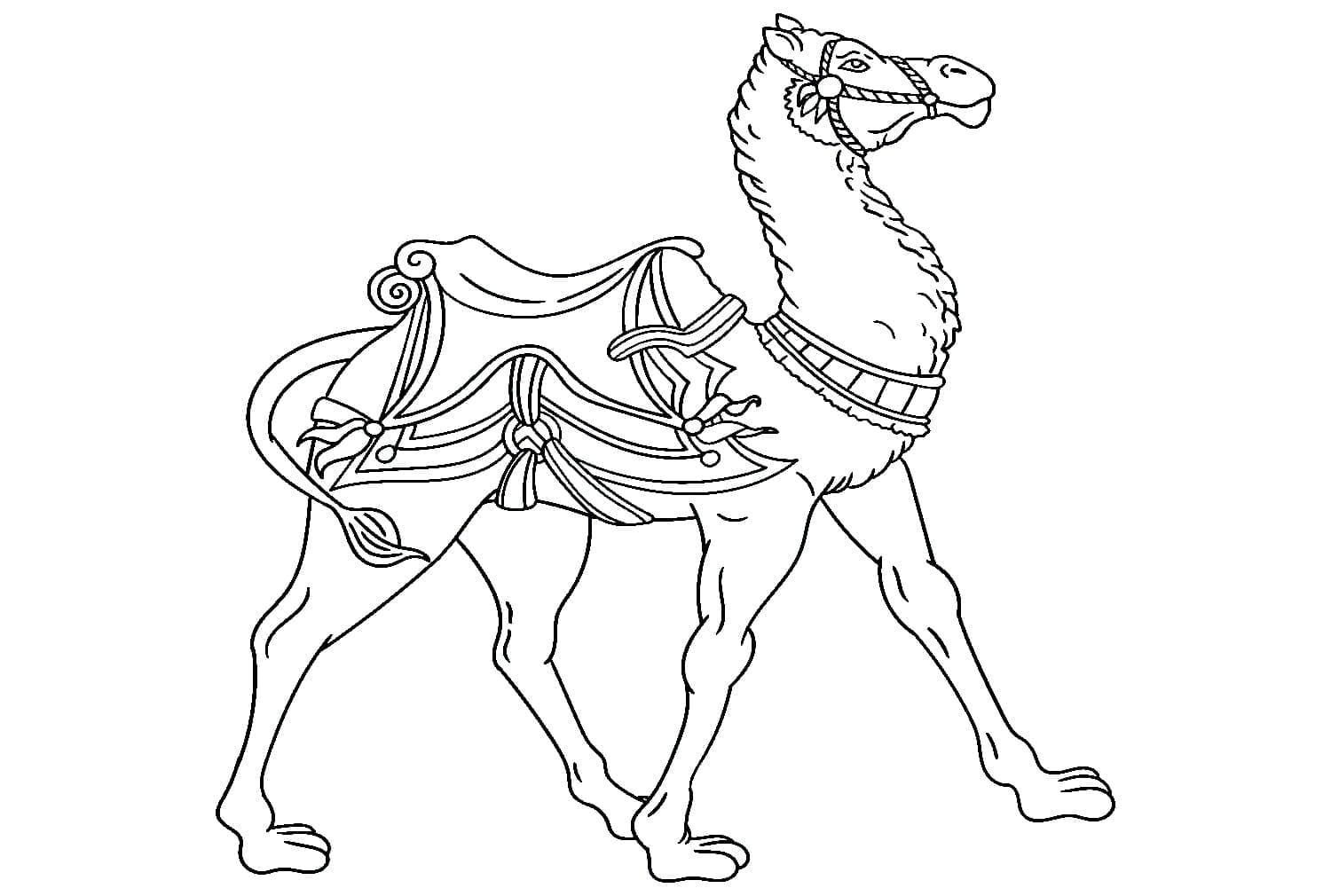 Free printable Camel coloring page #205502 from Animals collection