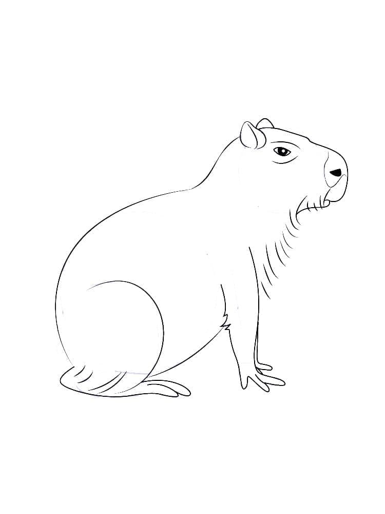 Free printable Capybara coloring page #207570 from Animals collection