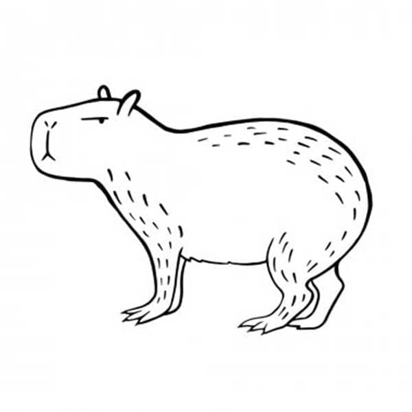 Free printable Capybara coloring page #207581 from Animals collection